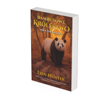 Mroczne słońce. Bambusowe królestwo. Tom IV