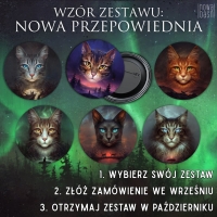 Zestaw przypinek z okładkami drugiej serii